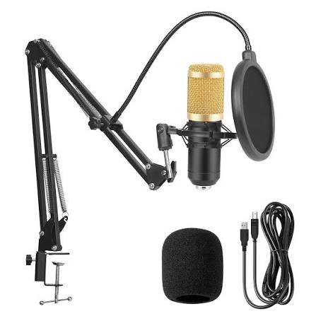 PROFESSIONAL CONDENSER MICROPHONE