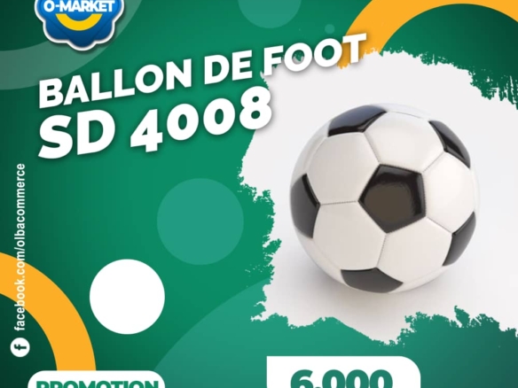 Ballon de foot sd 4008