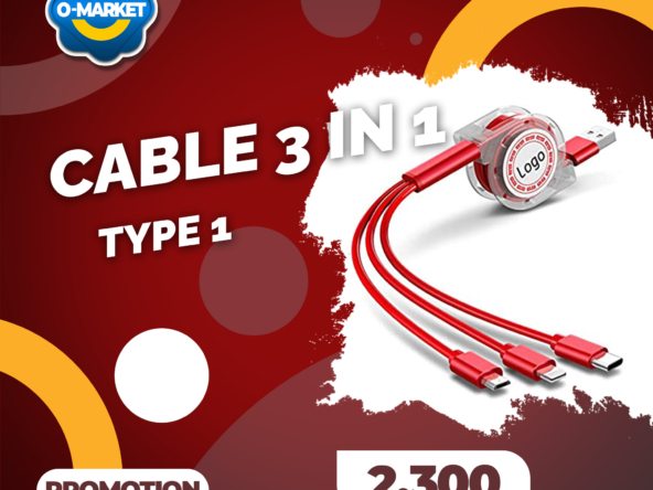 cable 3 in 1 ev