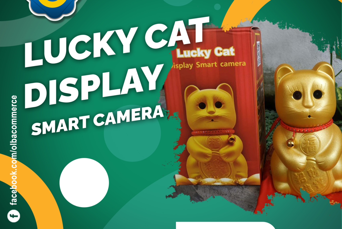 Lucky cat display