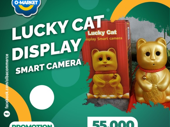 Lucky cat display