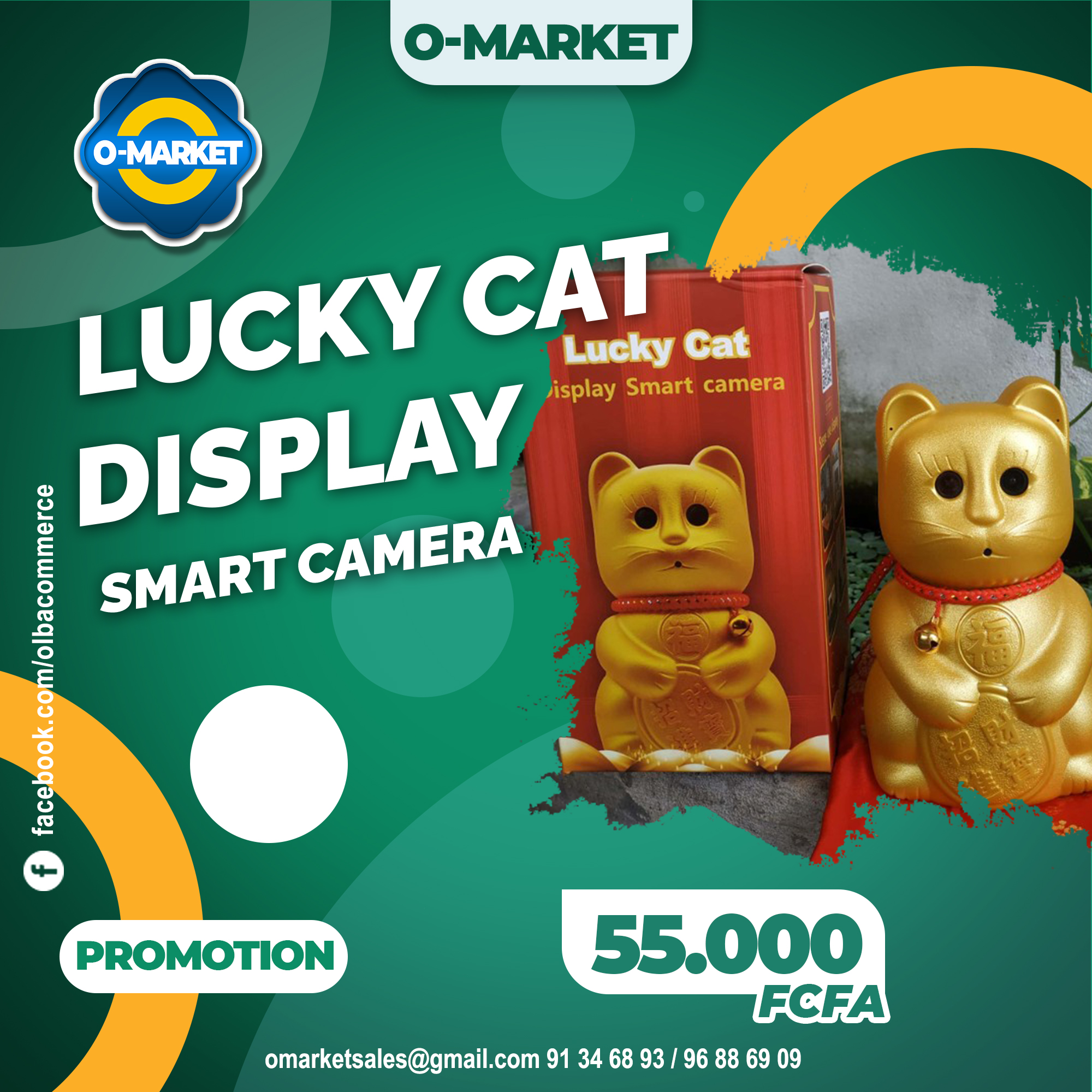 Lucky cat display
